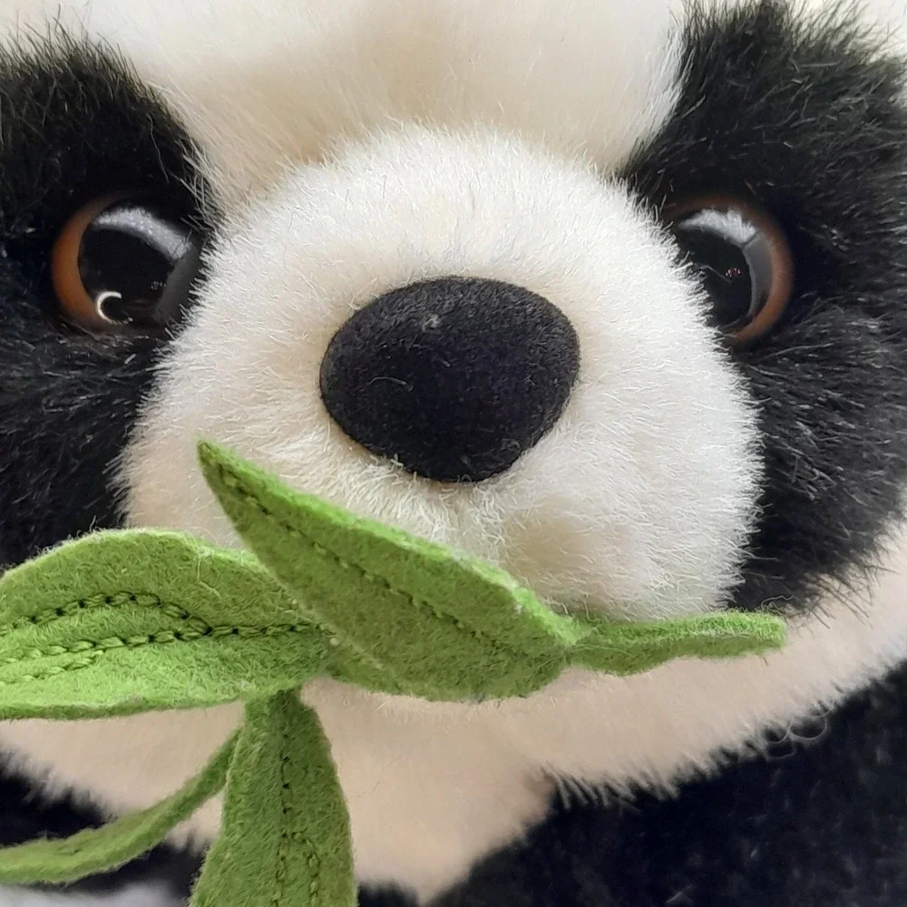 Smithsonian National Zoo Panda Bear 10